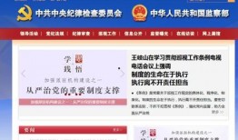 松江新闻爆料找谁举报,揭秘举报途径