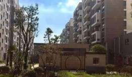 汝州最新爆料怪鱼店地址,揭秘最新地址与独特美食之旅”